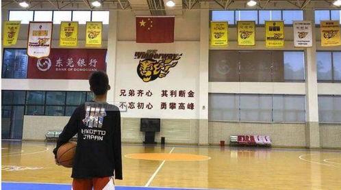 篮球少年张家成头条号,从街头到赛场，逐梦篮球之路
