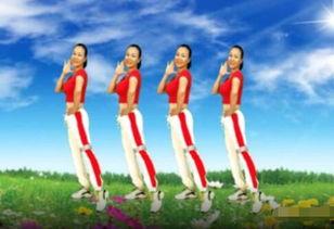网红广场舞野花香分解,活力四射，舞动青春风采