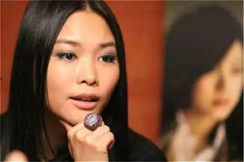 龙海的明星,揭秘龙海璀璨星河中的璀璨明珠