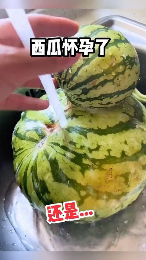 中文吃瓜搞笑视频配音,笑料横生！吃瓜搞笑视频配音大盘点