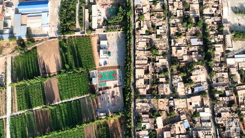 今日遂溪新城区新闻头条,聚焦最新建设成果与未来规划