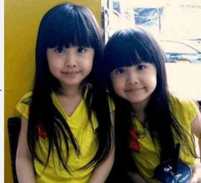 2005年网红双胞胎,网络红人的崛起与影响