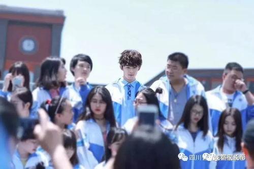 明星与学校,校园明星养成记