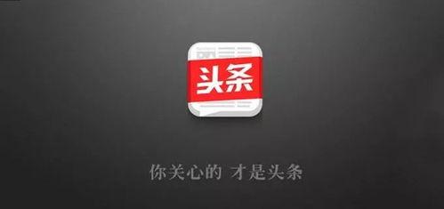 今日头条生态优势,引领内容创新与用户价值共赢新篇章