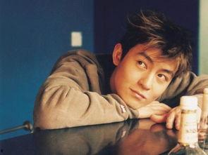 明星写真陈冠希,时尚与个性的完美融合