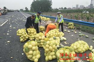 全椒吃瓜群众,揭秘当地生活百态