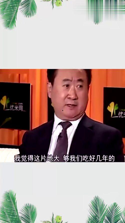 王健林爆料视频,万达帝国背后的真实故事