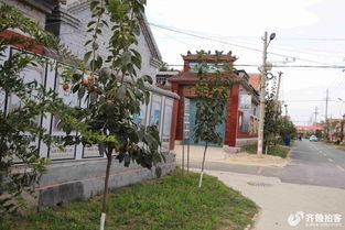 单县今日头条新农村,今日头条聚焦乡村振兴新篇章