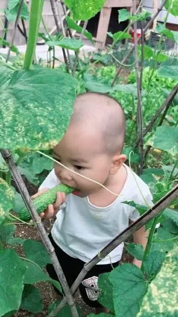 熊孩子碰瓷吃瓜