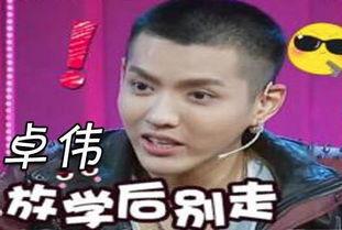 娱乐圈爆料武汉,武汉明星动向大揭秘