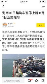 海口9月9日头条,聚焦岛城发展新动态，共话未来蓝图