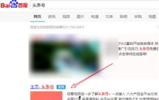 头条小店需要开通收益吗,轻松开启盈利之旅