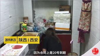 网红房屋清洁视频大全,打造温馨家居的清洁秘籍