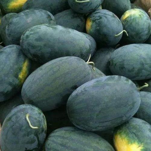 贵溪市吃瓜,瓜果飘香，品味生活新篇章