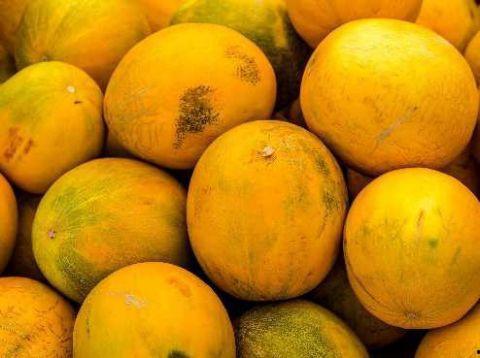 梦见吃很甜的绿瓜,甜蜜绿瓜的奇幻之旅