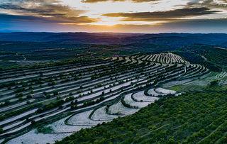 彭阳头条,聚焦本土热点，解码民生故事