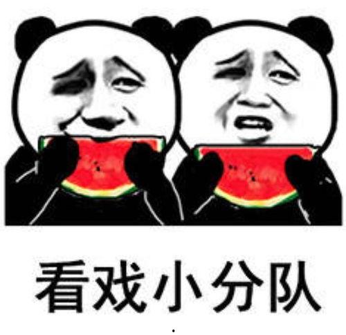 吃瓜老板表情包,笑料横生的职场瞬间