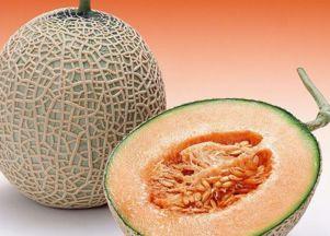 喉癌吃哈密瓜好吗,喉癌患者食用哈密瓜的利弊探讨