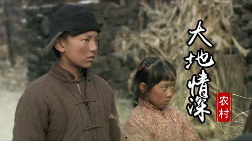 大地情深在线观看,穿越时空的家园情怀