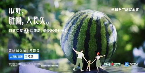 自己摘瓜吃的文案,尽享自然美味——我的摘瓜食记